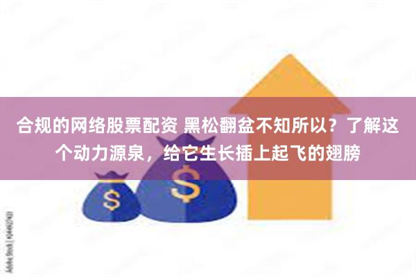 合规的网络股票配资 黑松翻盆不知所以？了解这个动力源泉，给它生长插上起飞的翅膀