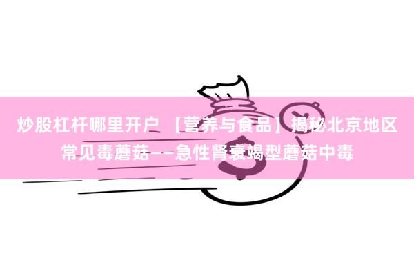 炒股杠杆哪里开户 【营养与食品】揭秘北京地区常见毒蘑菇——急性肾衰竭型蘑菇中毒