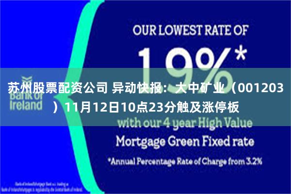 苏州股票配资公司 异动快报：大中矿业（001203）11月12日10点23分触及涨停板