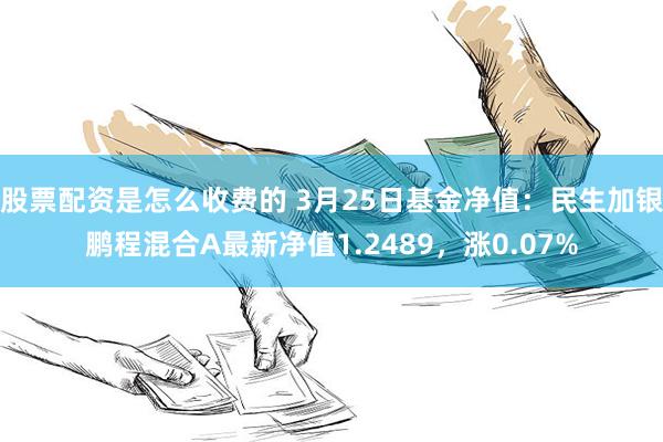 股票配资是怎么收费的 3月25日基金净值：民生加银鹏程混合A最新净值1.2489，涨0.07%