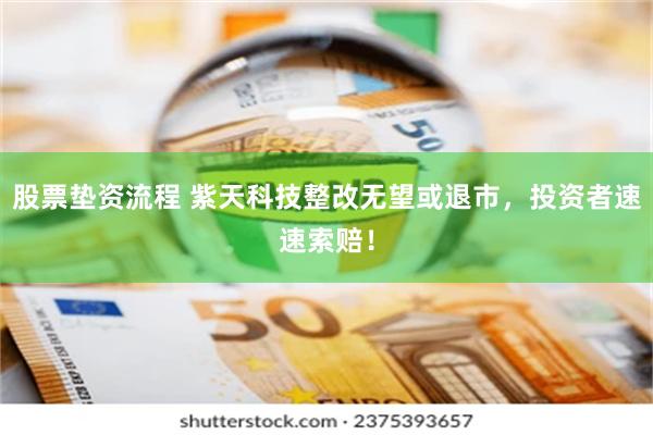 股票垫资流程 紫天科技整改无望或退市，投资者速速索赔！