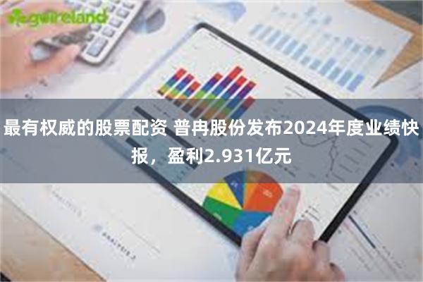 最有权威的股票配资 普冉股份发布2024年度业绩快报，盈利2.931亿元