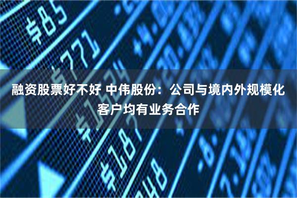 融资股票好不好 中伟股份：公司与境内外规模化客户均有业务合作